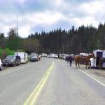 On March 28, Country Horsemens Peninsula and Buckhorn Range Chapter members showed up in force for its popular annual Rides of March. (Judy Dupree)
