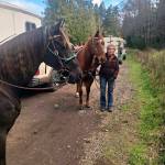 Penny Simmons has her horse saddled up and is ready to ride. (Judy Dupree)
