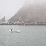 The Row West team departs the Quileute River. (Pat Neal/For Peninsula Daily News)