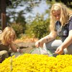 Matthew Nash/Olympic Peninsula News Group
Sisters Bevyn and Payton LaTourette release butterflies in Sequim Botanical Garden on Saturday during Family Fun Days. Dungeness Kids Co. sold kits for families to grow caterpillars and release the painted lady butterflies in the garden.