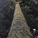 In total, National Geographic Photo Camp students from Sequim and Port Angeles took nearly 28,000 photos using Canon R10 cameras. (Phillip McIntyre)