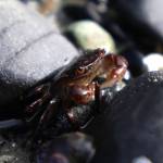 Everything from marine life to human life to plant life was photographed during the National Geographic Photo Camp March 30 through April 3. (Phillip McIntyre)