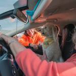 Sequim Food Bank Director Jen Colmore greets Christina Fransone and her labradoodle Vivian as they wait in the food distribution line. (Emily Matthiessen/for Olympic Peninsula News Group)