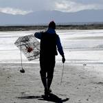 Volunteer Tim Shank carries a trap toward a bed of eelgrass on the Dungeness Spit in early April. (Michael Dashiell)