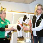 Karen Griffiths / For the Peninsula Daily News
Carey Gates holds a mini horse as WASART co-founder Greta Cook demonstrates how to make and place a temporary quick release halter from rope during an emergency to capture horses, cows and other domestic animals.