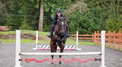 Haylee Graham and Cartiers first time showing together in 15 years at Fox-Bell Farms 2024 Halloween Show.