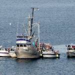 Steve Mullensky/for Peninsula Daily News
Tribal crab boats tie up around the factory ship before dropping pots around Port Townsend Bay on Monday morning, ahead of recreational crabbing season in Marine Area 6.