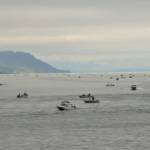 A mass of recreational fishing boats dot the Strait of Juan de Fuca off Port Angeles on the summer salmon season opener in Marine Area 6 (Eastern Strait of Juan de Fuca).