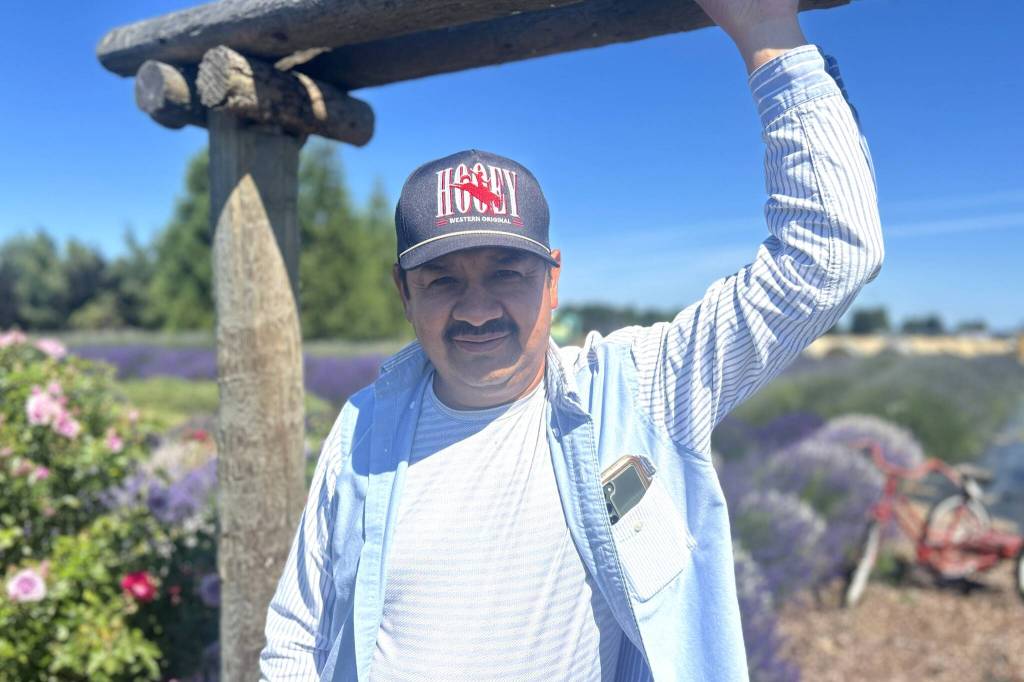 Victor Gonzalez will celebrate two lavender festivals in two weekends. The first was this past weekend at the grand opening of White Barn and Blooms Lavender Farm in Ohio, where hes established a new distribution center. The second will be at his Sequim farm Victors Lavender July 17-19. (Matthew Nash/Olympic Peninsula News Group)