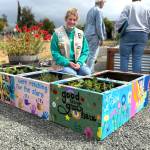 Skylar Krzyworz
Skylar Krzyworz of Sequim sits by planter boxes that were refurbished and painted as part of her Gardens to Families program for her Girl Scout Gold Award project that helped create garden beds and offer one-pot gardens, recipe books, plant starts and seeds to families.