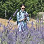Grace Kim of Lynwood makes a bundle of lavender at Lavender Connection on Sunday. It was the first time she had visited a lavender farm. Lavender Connection is one of many that will be open during Sequim Lavender Weekend and throughout the summer. (Matthew Nash/Olympic Peninsula News Group)