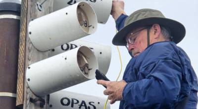 John Gussman
Olympic Peninsula Audubon Society volunteer Dow Lambert uses an app on his phone to check the nests of purple martins in nest boxes atop poles.