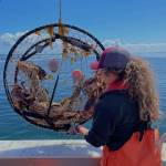 Jamestown SKlallam Tribe 
Jamestown Shellfish Biologist, Devynn Gately, conducting Dungeness crab research.